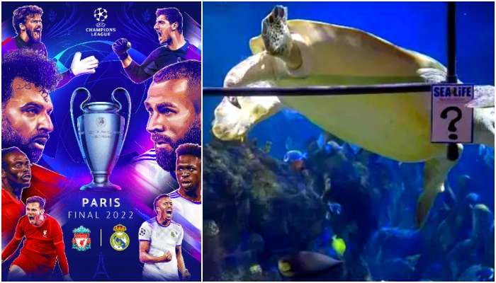 UCL Final: প্যারিসে শেষ হাসি রিয়াল না লিভারপুলের? বলে দিল হলুদ কচ্ছপ!