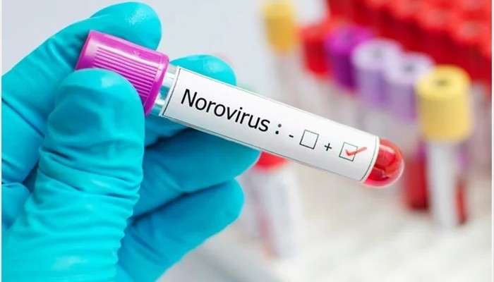 Norovirus: এবার নরোভাইরাসের খবর মিলল ভারতে, আক্রান্ত কেরলের দুই খুদে পড়ুয়া 
