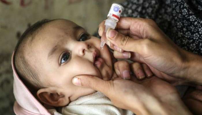 Polio In Kolkata: &#039;পোলিওমুক্ত&#039; ভারতে কলকাতায় মিলল লাইভ পোলিও ভাইরাস! উদ্বিগ্ন স্বাস্থ্যভবন