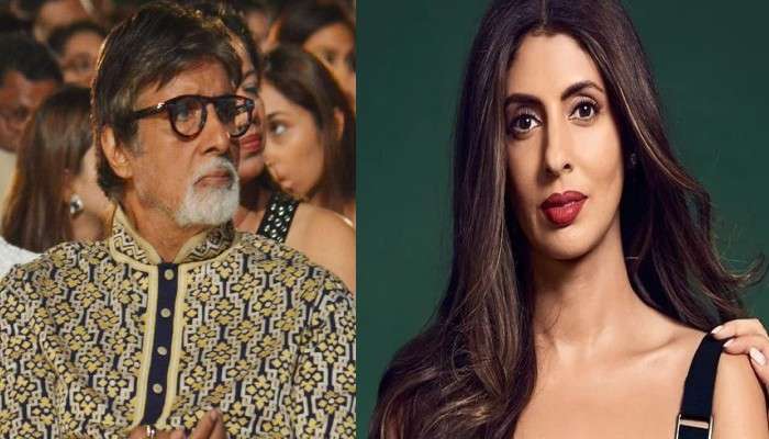 Amitabh Bachchan: বলি তারকার সঙ্গে শ্বেতার প্রেম, মেয়ের সংসার ভাঙার আশঙ্কায় কড়া পদক্ষেপ অমিতাভের!