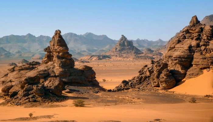 Libyan Desert: লিবিয়ার মরুভূমিতে মৃতদেহ! কী ঘটেছিল অন্ধ বন্ধ মরুপথে?