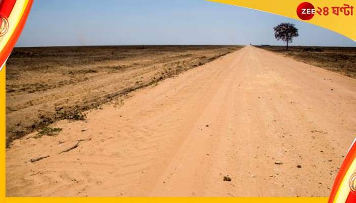 Deforestation: দিল্লির আয়তনের আড়াই গুণ পরিমাণ অরণ্য ধ্বংস হয়েছে এ অঞ্চলে...  