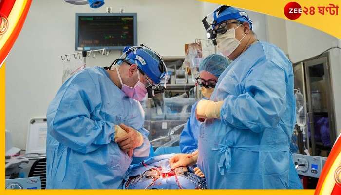 Heart Transplants: শুয়োরের হার্ট মানুষের দেহে! জোড়া প্রতিস্থাপন সফল...