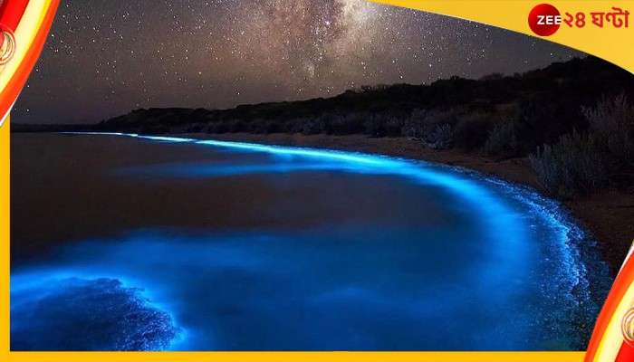 Milky Sea: ভারত মহাসমুদ্র ধরে যেতে-যেতে হতবাক নাবিক! সামনে কী ওটা... 