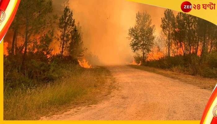 Wildfires Across Europe: প্রবল গরমে পুড়ছে ইউরোপ, আগুন জ্বলে যাচ্ছে জঙ্গলে...