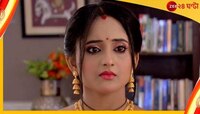 প্রোমো থেকে নয়া জল্পনা,মিঠাইয়ের মৃত্যুতেই কি বন্ধ হচ্ছে ধারাবাহিক?