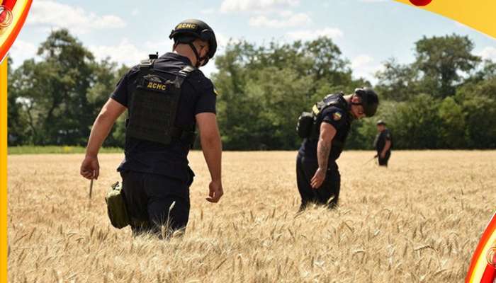 Ukraine Russia Grain Deal: চমকপ্রদ! যুদ্ধের আবহেই রাশিয়া-ইউক্রেন সই করল এই চুক্তিতে...