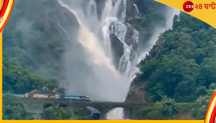 Dudhsagar Falls: দুধের ভিতরে ট্রেন দেখে তাজ্জব নেটপাড়া, কী ঘটল পশ্চিমঘাট পর্বতে... 