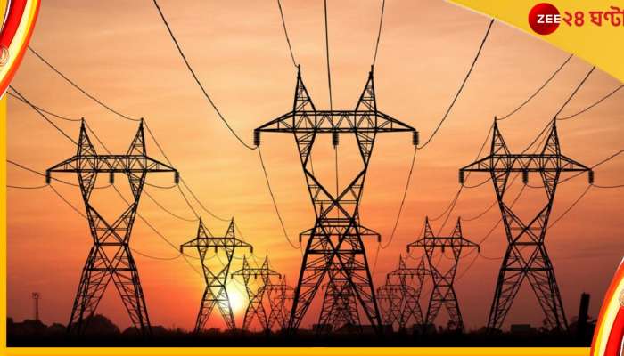 3419 Crore Electricity Bill: একমাসেই ৩,৪১৯ কোটির বিদ্যুতের বিল! দেখেই সোজা হাসপাতালে প্রৌঢ়