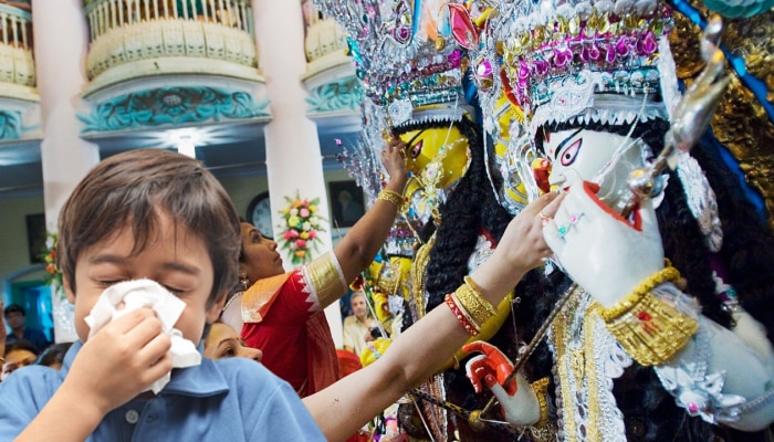 Flu Preventing Measures: সামনেই পুজো, কীভাবে রেহাই পাবেন বিভিন্নরকম ফ্লুর হাত থেকে? 