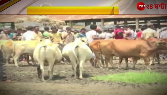 Supplementary chargesheet in cow smuggling case