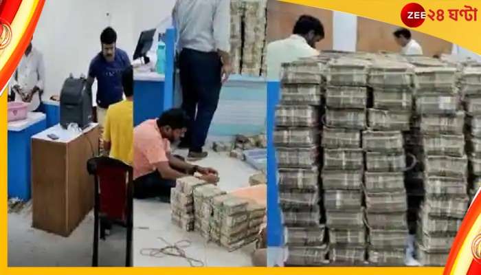 'দুলহন হাম লে যায়েঙ্গে' স্টিকার সাঁটা গাড়িতে 'বরযাত্রী' নিয়ে গেল ৩৯০ কোটির সম্পদ