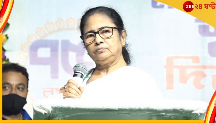 Mamata Banerjee: পাওনা টাকা আনতে দিল্লি গিয়েছিলাম, সেটিং হয়ে গেল!