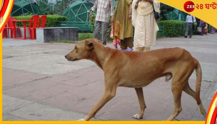 Tarakeswar: একদিনে ২৪ জনকে কুকুরের কামড়, তারকেশ্বরে হাসপাতালের বাইরে লাইন! 