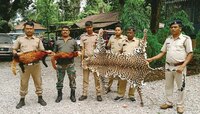 জলপাইগুড়ি থেকে উদ্ধার রেড পান্ডার চামড়া, দাম শুনলে চমকে যাবেন