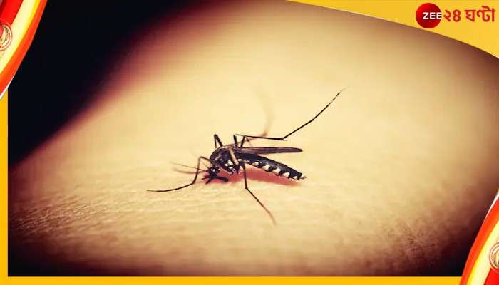 Dengue In Bengal: ডেঙ্গি বাড়ছে কলকাতা-সহ রাজ্যে, সতর্কবার্তা স্বাস্থ্য দফতরের