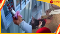 সংক্রমণ বাড়ায় সতর্ক প্রশাসন, এবার জ্য়ান্ত মাছ-কাঁকড়ারও হবে কোভিড টেস্ট!