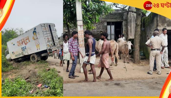 Purulia Cow Smuggling: পুরুলিয়ায় দুর্ঘটনায় দুধের কন্টেনার, উদ্ধার গোরু! পাচারের পথ?