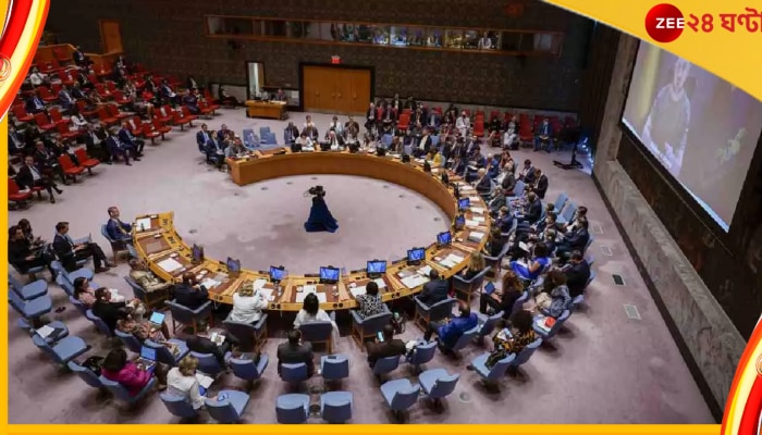 UNSC: দীর্ঘ মৈত্রীর অবসান? এই প্রথম রাশিয়ার বিরুদ্ধে ভোট দিল ভারত...