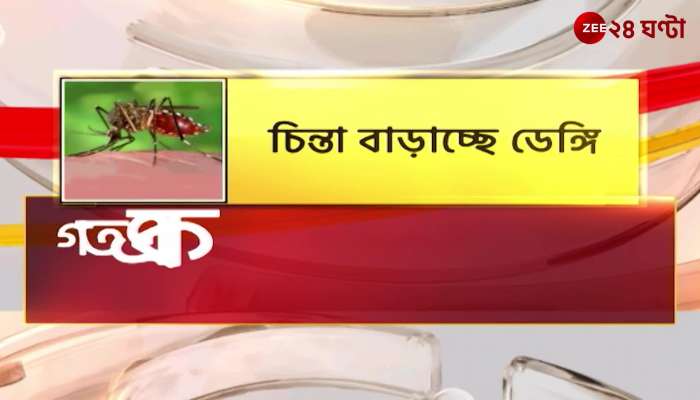 DENGUE: Dengue cases are increasing in the state | Zee 24 Ghanta