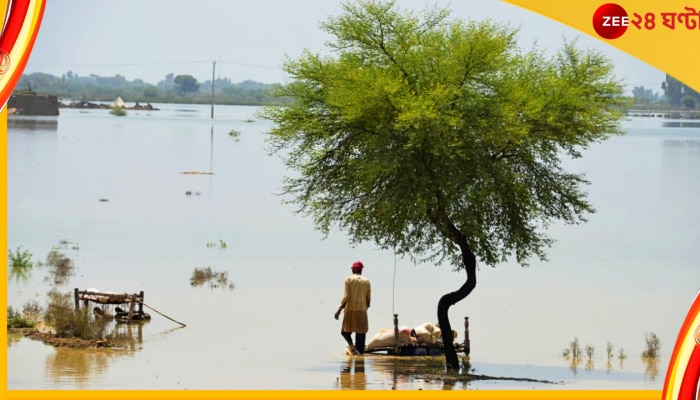 Pakistan Floods: আমাদের সাহায্য করুন, বন্যাবিধ্বস্ত পাকিস্তানের কাতর আহ্বান... 