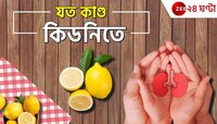 অনন্য পাতি লেবু, কিডনির রোগও কাবু!