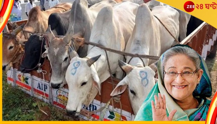 Bangladesh: আমাদের নিজস্ব গোরু আছে, ভারতীয় গোরুর উপর নির্ভর করে না বাংলাদেশ: শেখ হাসিনা