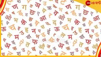 হিন্দি এ দেশকে এক সূত্রে গেঁথেছে, কথ্য হিন্দির কোনও বিকল্প নেই...