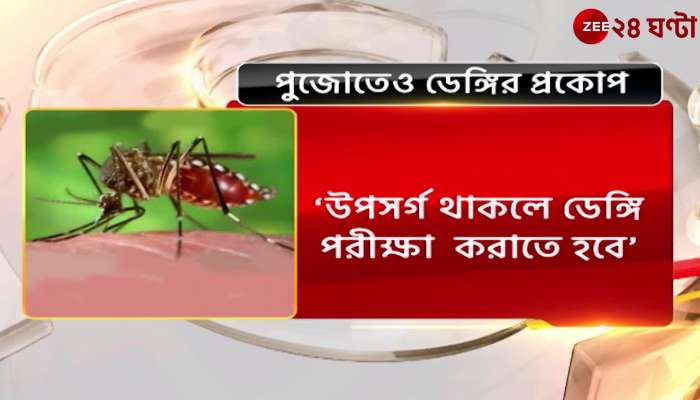 Dengue Update: What instructions came out of the emergency meeting of the health building today about dengue? | Zee 24 hours