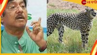 বাঘের হাসি বাঁধ ভেঙেছে! বিড়ম্বনায় বনমন্ত্রী জ্যোতিপ্রিয় মল্লিক