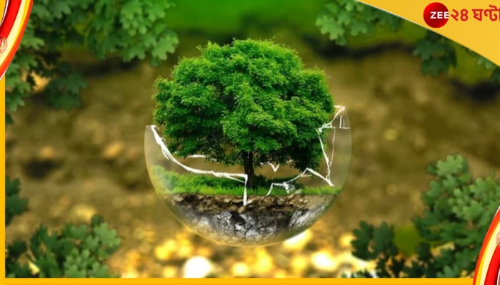 World Environmental Health Day: দূষণ নিয়ন্ত্রণ করে প্রকৃতিকে বিশুদ্ধ রাখলে মানবদেহও থাকবে সুস্থ ও নীরোগ... 