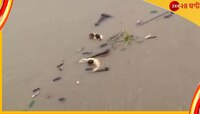 নদী পার করতে গিয়ে পিলারে ধাক্কা; উল্টে গেল নৌকা, নিখোঁজ স্কুলপড়ুয়া-সহ বহু যাত্রী 