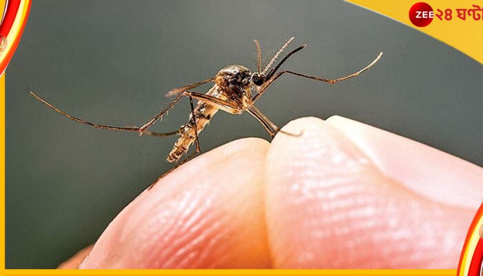 WB Dengue update: রাজ্যে ডেঙ্গু আক্রান্ত আরও ৭২৫, সরকারি হাসপাতালে ভর্তি কয়েকশো রোগী