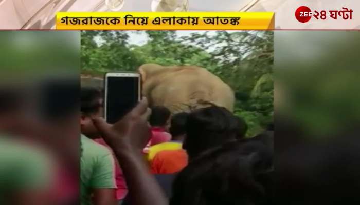 Goaltore Death by elephant attack | Zee 24 Ghanta
