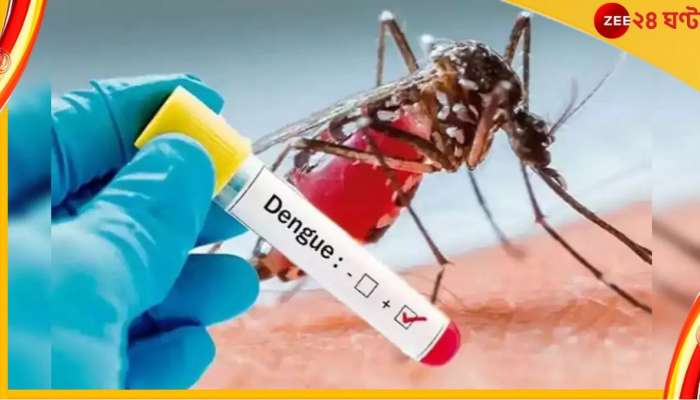 Dengue: উদ্বেগ বাড়িয়ে রাজ্যে মোট ডেঙ্গি আক্রান্ত ২৫ হাজার ছুঁই ছুঁই, সংক্রমণে শীর্ষে উত্তর ২৪ পরগনা