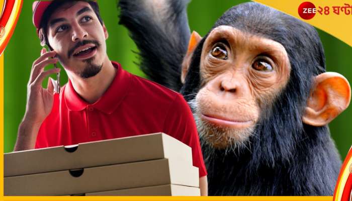 Chimpanzee, Pizza, Watch: মহাবিশ্বে কত কী না ঘটে! পিৎজার ডেলিভারি নিয়ে বিলও মেটাল শিম্পাঞ্জি 