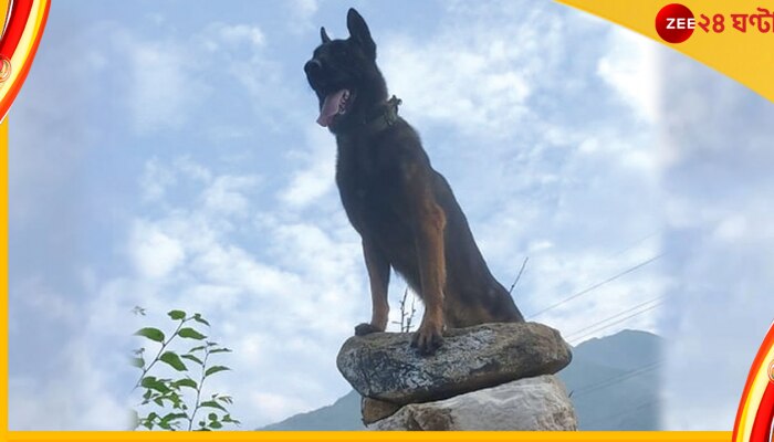 Army Dog Zoom: শরীরে জঙ্গিদের ছোড়া ২ বুলেট, শ্রীনগরের হাসপাতালে ভর্তি আশঙ্কাজনক জুম 