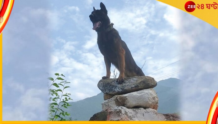 Army Dog Zoom Dies: লড়াই শেষ,  সেনা হাসপাতালে মৃত অনন্তনাগ এনকাউন্টারে আহত জুম  