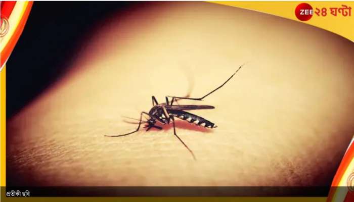 Dengue: রাজ্যে ডেঙ্গি আক্রান্ত ছাড়াল ৩০ হাজার, চাঞ্চল্যকর তথ্য নজরদারি কমিটির রিপোর্টে