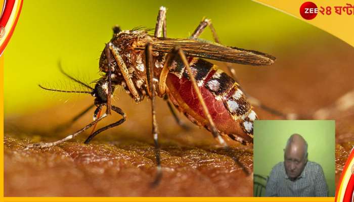 Dengue: ডেঙ্গিতে মস্তিষ্কে &#039;বিরল&#039; রক্তক্ষরণ, মিরাকল ঘটিয়ে জীবন ফেরালেন চিকিৎসকরা!