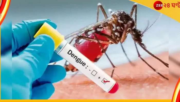 Dengue Positivity Rate: রাজ্যের মধ্যে কলকাতাতেই রেকর্ডহারে বাড়ছে ডেঙ্গি! চাঞ্চল্যকর তথ্য প্রকাশ্যে