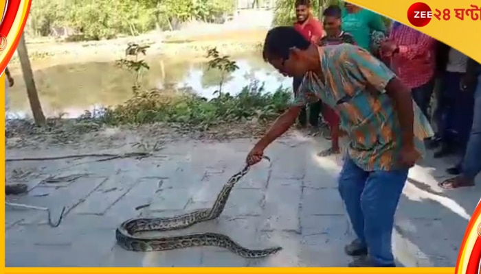 Malbazar: বাঁশঝাড়ে উঠে বসে আছে দীর্ঘ এক অজগর! দেখে চমকে উঠলেন এলাকাবাসী...