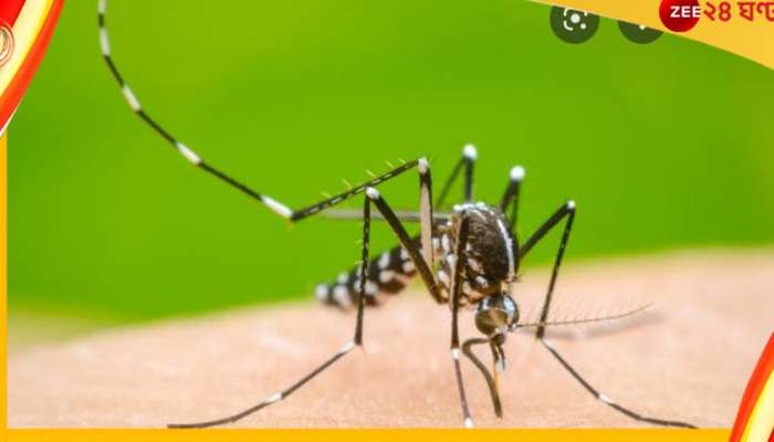 Dengue: &#039;ডেঙ্গি পরিস্থিতি নিয়ন্ত্রণের বাইরে&#039;, কলকাতায় এবার জোড়া মৃত্যু!