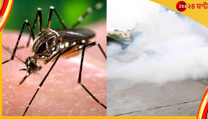 Dengue Situation West Bengal: হু হু করে বাড়ছে ডেঙ্গি সংক্রমণ! হাড়হিম করা সব তথ্য জানাচ্ছে সমীক্ষা... 