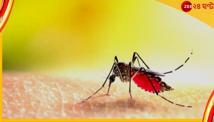Dengue in Bengal: কমছে না ডেঙ্গির দাপট, রাজ্যে নতুন করে আক্রান্ত ৫৯৪
