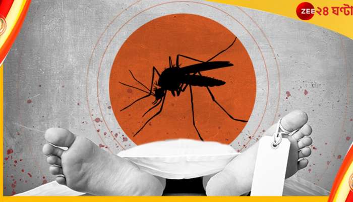 Dengue Death: ফের ডেঙ্গু আক্রান্তের মৃত্যু বেলেঘাটা আইডি হাসপাতালে! চিন্তা বাড়ছে রাজ্যে