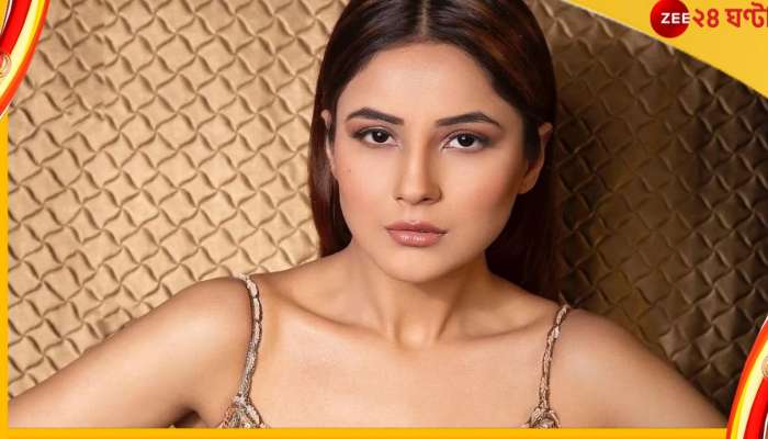 Shehnaaz Gill : 'অনুরাগীদের এভাবে ধাক্কা দিচ্ছ কেন?' নিরাপত্তারক্ষীর উপর চটলেন শেহনাজ