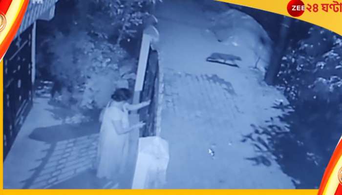 Watch: ধূপগুড়িতে লোকালয়ে ঘুরে বেড়াচ্ছে চিতাবাঘ! Watch: ধূপগুড়িতে লোকালয়ে ঘুরে বেড়াচ্ছে চিতাবাঘ!