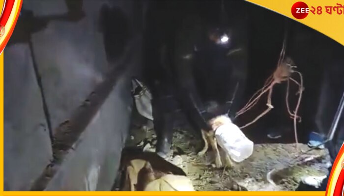 Fox Saved: মাথায় আটকে লম্বা কৌটো; তোলপাড় পাড়া, শেয়ালকে বাঁচাতে ছুটে এলেন বনকর্মীরা Fox Saved: মাথায় আটকে লম্বা কৌটো; তোলপাড় পাড়া, শেয়ালকে বাঁচাতে ছুটে এলেন বনকর্মীরা