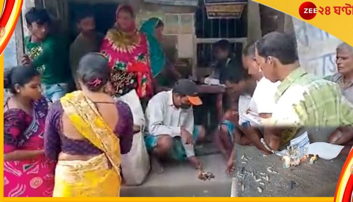 Plastic Rice: আগুনে দিতেই হু হু করে গলে যাচ্ছে রেশনে পাওয়া চাল! তোলপাড় বনগাঁর মনিগ্রাম Plastic Rice: আগুনে দিতেই হু হু করে গলে যাচ্ছে রেশনে পাওয়া চাল! তোলপাড় বনগাঁর মনিগ্রাম